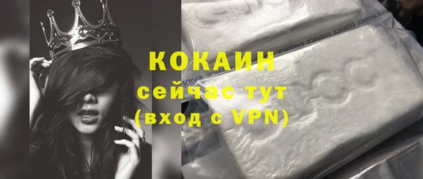 apvp Алексин