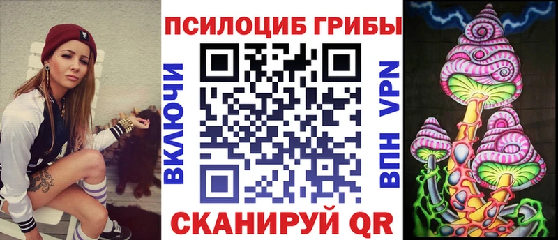 где купить   Сосновка  Галлюциногенные грибы мицелий 
